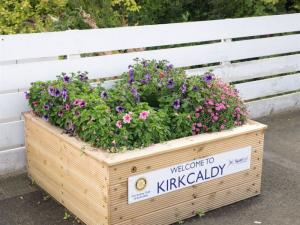 Planter at Kirkcaldy Railway Station